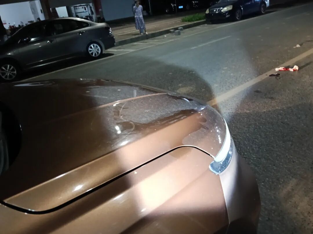 驾驶观察礼让行人_行车安全注意事项_路况