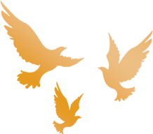 养护工区安全检查_路况_公路养护月度考核