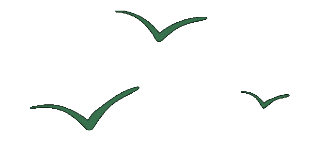 公路养护月度考核_路况_养护工区安全检查