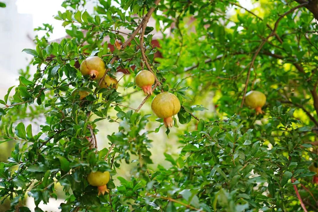 天气变化添衣保暖_雨天接送孩子安全_出行提示