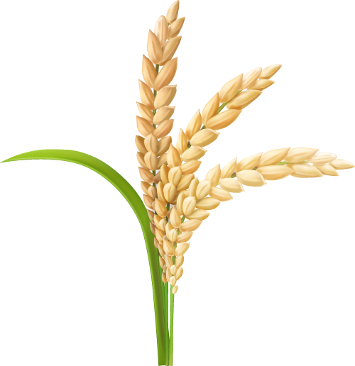 雨天行车降速控距亮尾_雨天交通安全出行提示_出行提示