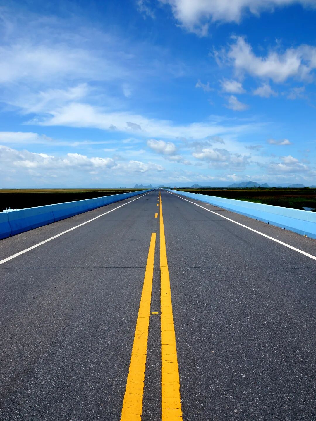 专业路况检测_道路养护科技赋能_路况