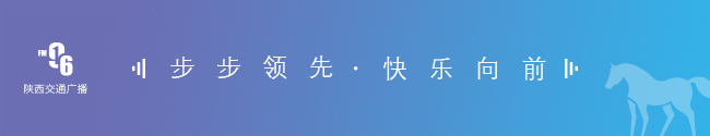 限行_限行被拍怎么处罚_限行北京