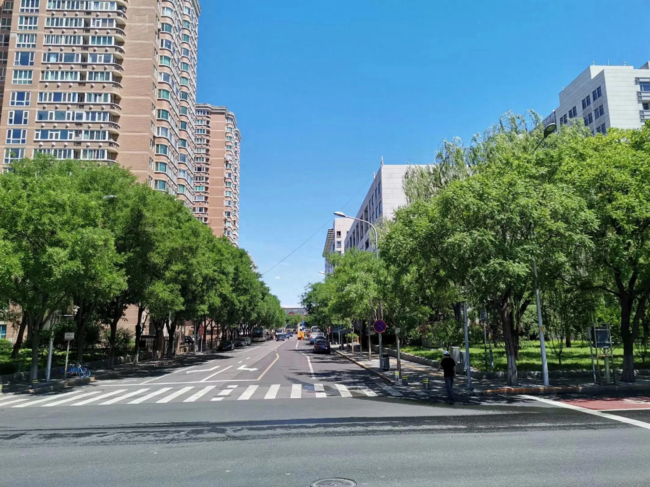 交通出行安全提示_出行提示_文明出行规范