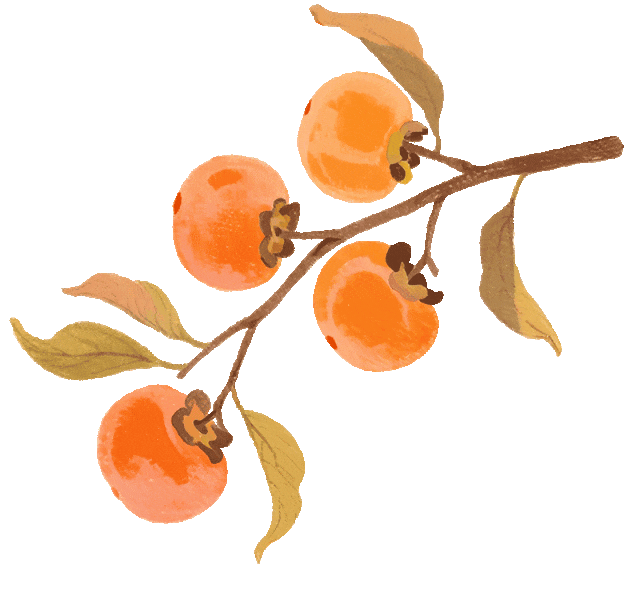 雨雾天气出行安全_出行提示_秋冬交通安全指南