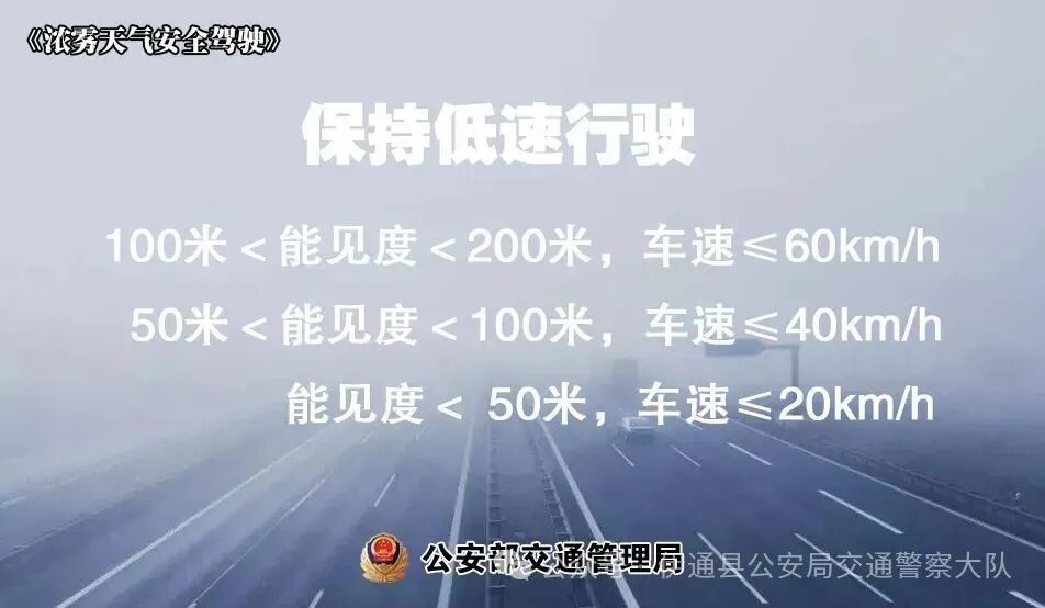 秋冬交通安全指南_雨雾天气出行安全_出行提示