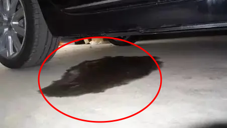 出行提示_开车前绕车一周_雪天行车安全注意事项