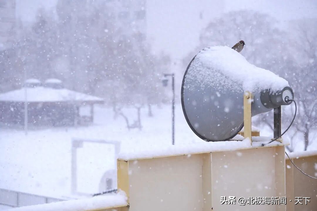 雨雪天气出行提示_雪天交通安全指南_出行提示