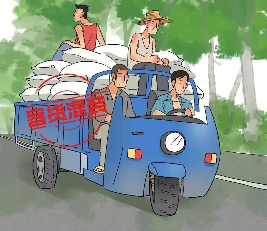_路况_ 道路交通安全常识 