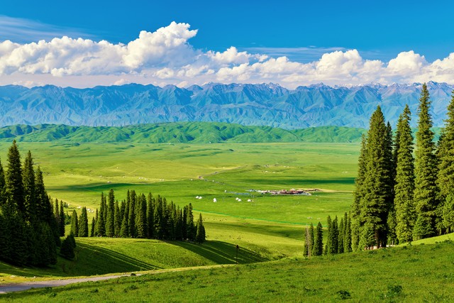 2026新车牌改革_8位号牌分类标识_限行