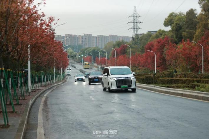 雨雪天气 哈尔滨交警 出行安全_出行提示