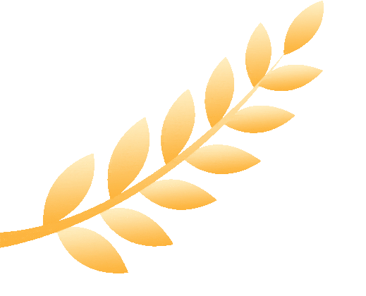 限行_天津国庆不限行_天津尾号限行规定