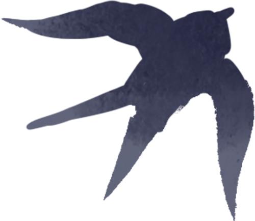 国道567线事故多发路段_秋季雨天交通安全提示_出行提示