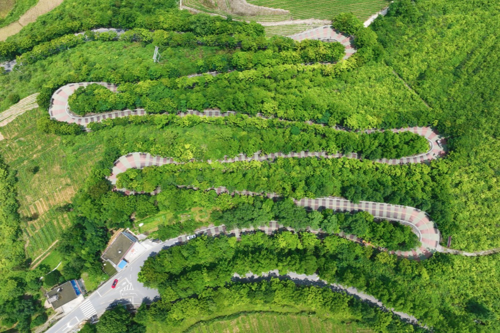 农村道路交通安全提示_出行提示_驾驶人出行安全