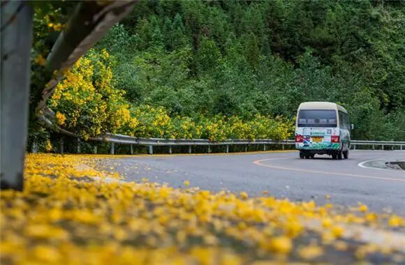 出行提示_农村道路交通安全提示_驾驶人出行安全