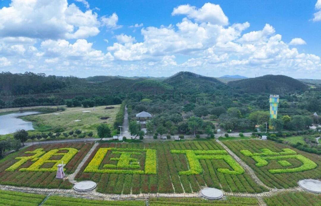 出行提示_钦州国庆中秋假期道路施工通告_钦州国庆中秋假期交通出行指南