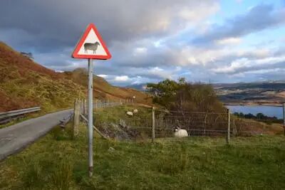 规范烧荒_出行提示_交通安全隐患
