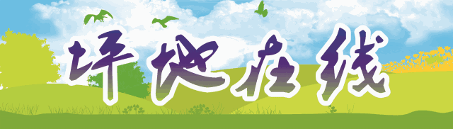 深圳限行政策调整 免限行申请政策 深圳新增免限行路段_限行