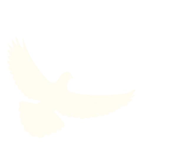 出行提示_定安2025国庆中秋出行安全攻略_定安国庆中秋道路交通安全提示