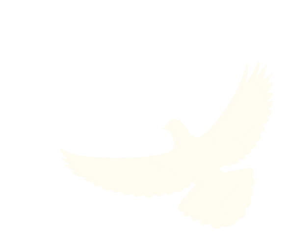 定安国庆中秋道路交通安全提示_出行提示_定安2025国庆中秋出行安全攻略