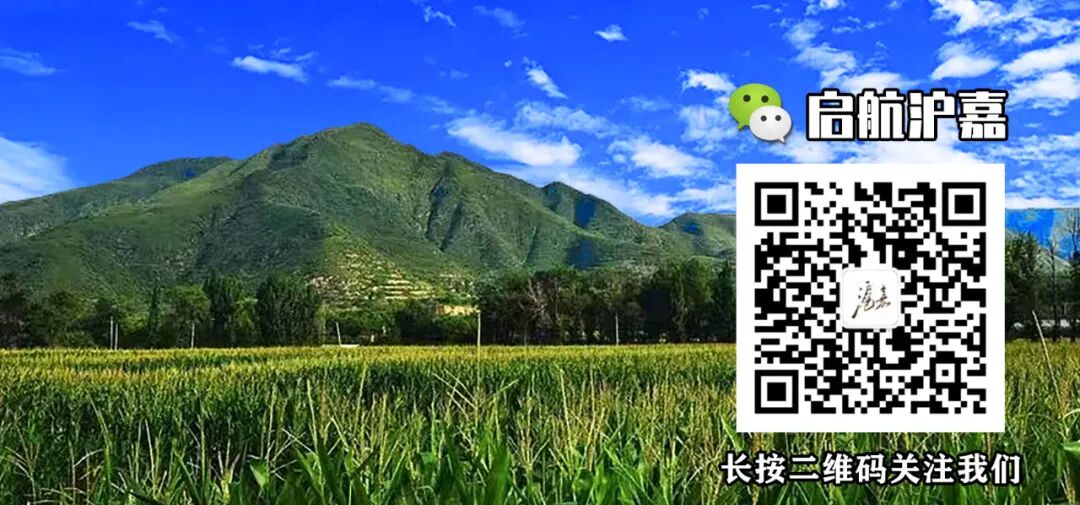 出行提示_沪嘉乡交通安全提示_道路冰雪黄色预警