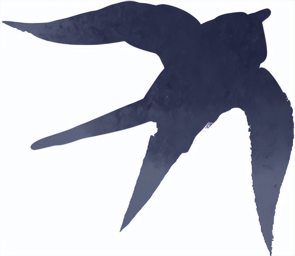 出行提示_秋季雨雾行车安全_雨雾天气驾驶注意事项