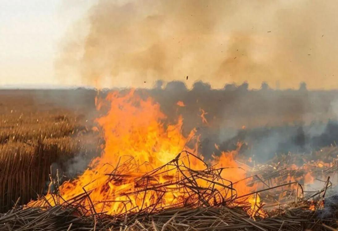 高速公路禁烧规定_出行提示_秸秆焚烧危害
