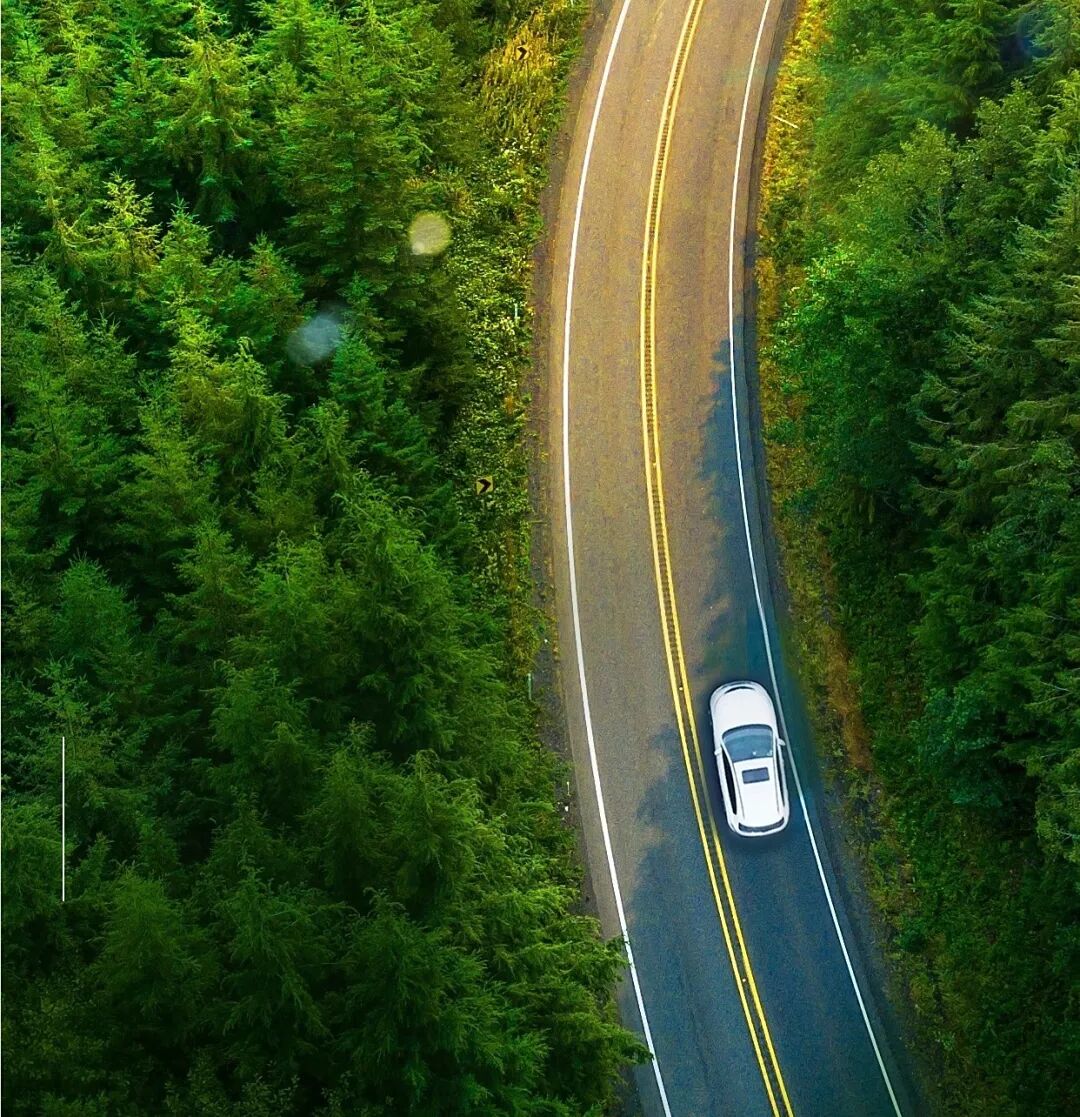 出行提示_国庆节高速免费通行时间_国庆中秋双节出行安全提示