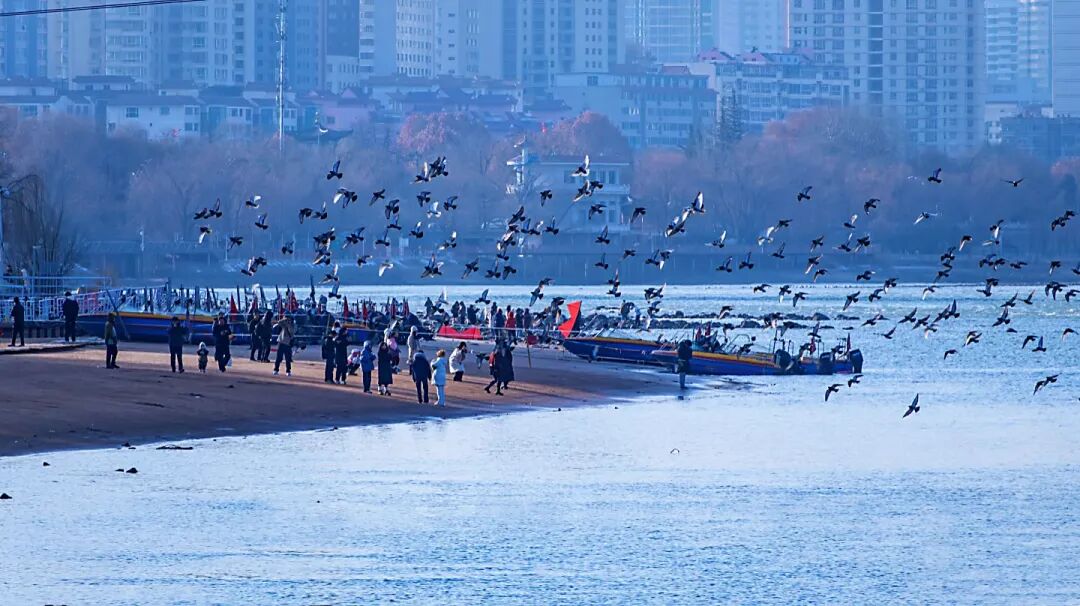 出行提示_兰州元旦假期交通出行指南_元旦兰州天气及交通拥堵预测