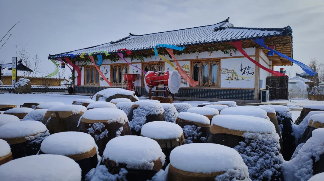 延边元旦假期道路交通安全提示_出行提示_2026年元旦延边交警安全出行攻略