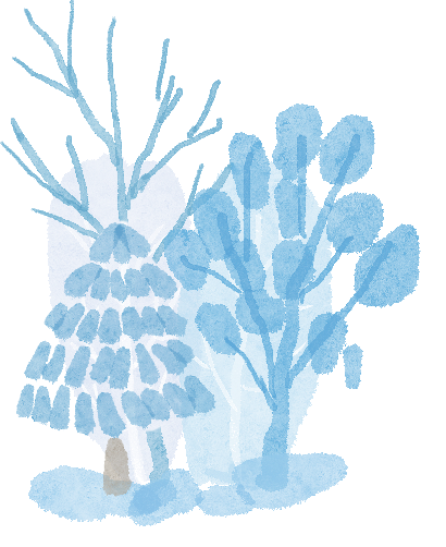 出行提示_冬季雪雾天气行车安全_冰雪路面驾驶技巧