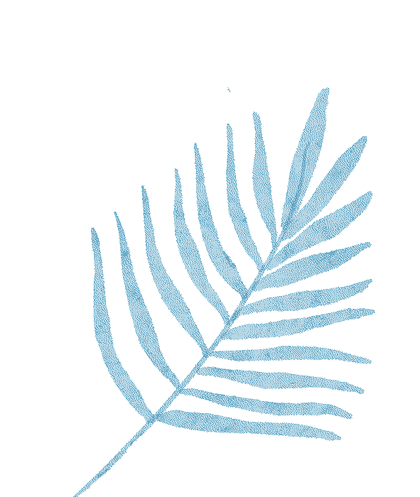 冬季雪雾天气行车安全_出行提示_冰雪路面驾驶技巧