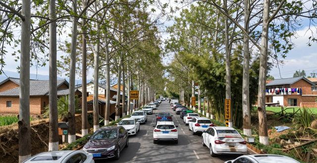 开远清明节易拥堵路段_出行提示_开远清明节交通出行提示