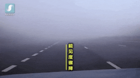 出行提示_雾天行车安全注意事项_大雾天气驾车安全指南