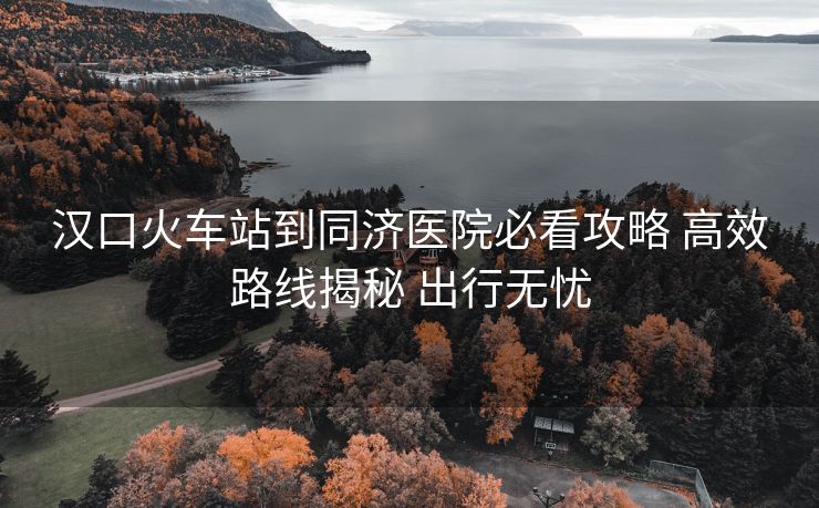 汉口火车站到同济医院必看攻略 高效路线揭秘 出行无忧