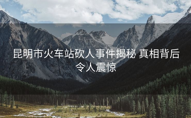 昆明市火车站砍人事件揭秘 真相背后令人震惊