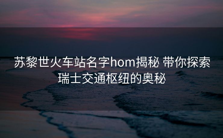 苏黎世火车站名字hom揭秘 带你探索瑞士交通枢纽的奥秘