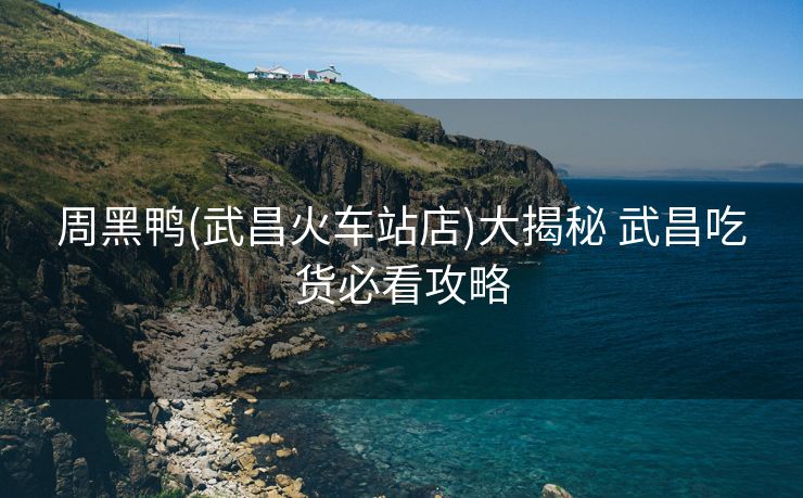 周黑鸭(武昌火车站店)大揭秘 武昌吃货必看攻略