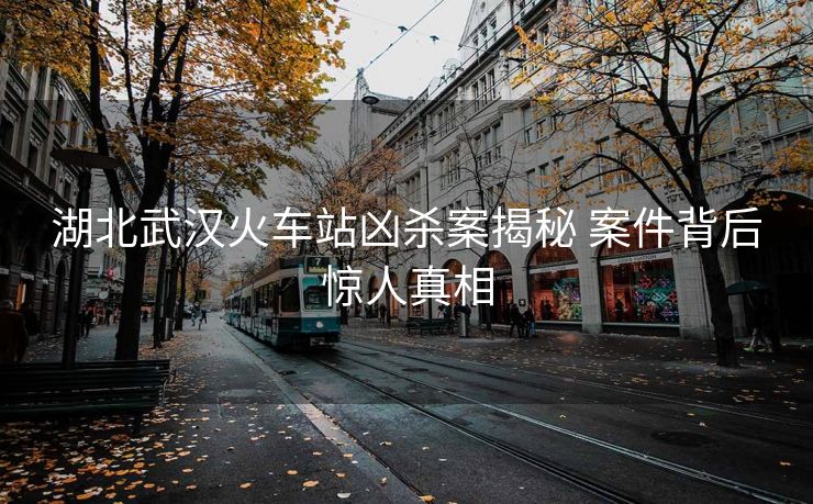 湖北武汉火车站凶杀案揭秘 案件背后惊人真相