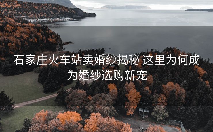 石家庄火车站卖婚纱揭秘 这里为何成为婚纱选购新宠
