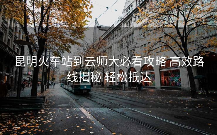 昆明火车站到云师大必看攻略 高效路线揭秘 轻松抵达 昆明火车站到云师大必看攻略 高效路线揭秘 轻松抵达