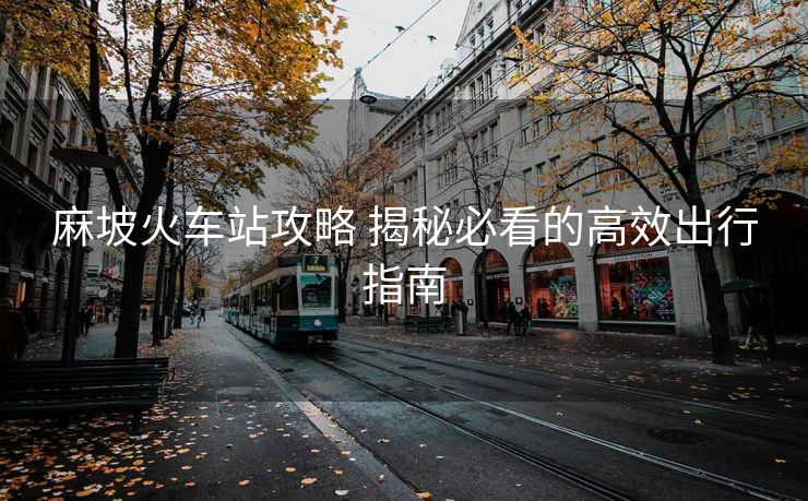 麻坡火车站攻略 揭秘必看的高效出行指南