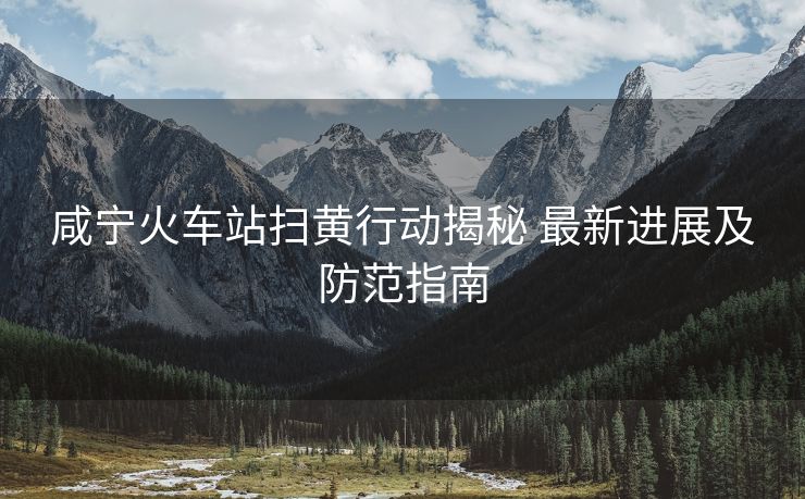 咸宁火车站扫黄行动揭秘 最新进展及防范指南